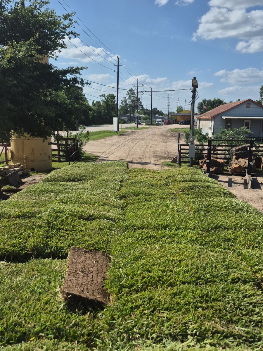 Fresh St. Augustine Raleigh sod pallets on the ground at Aldine Westfield Landscape Materials in Spring, TX